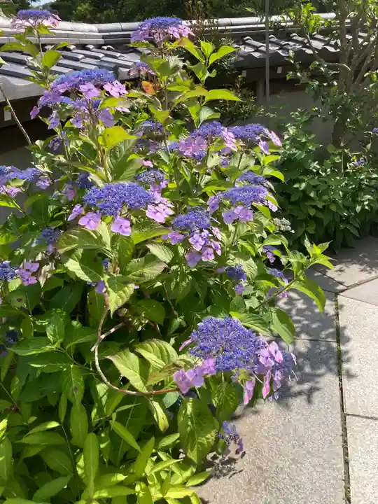 松嶺院(神奈川県)