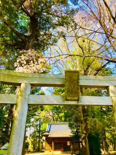 岡見八坂神社(茨城県)