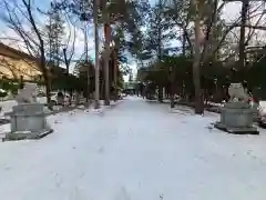 琴似神社(北海道)