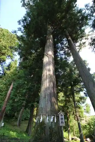 矢倉鳥頭神社(群馬県)