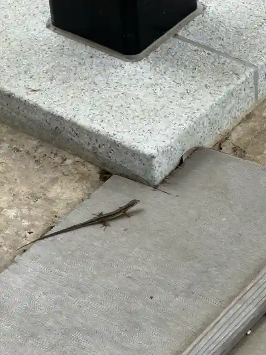 専修寺(栃木県)