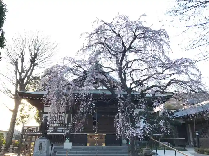 金蔵院の本殿・本堂