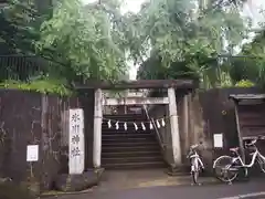 氷川神社の鳥居