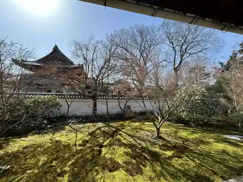 興聖寺(京都府)