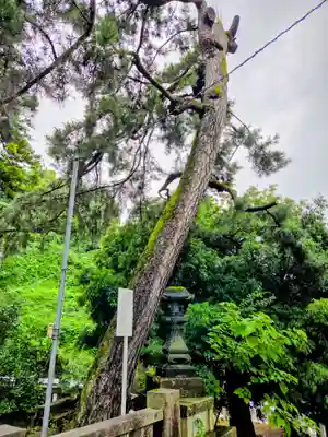椿原天満宮(石川県)