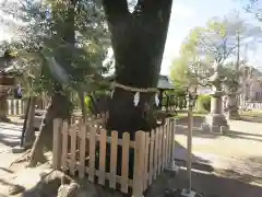 大神神社（花池）の自然