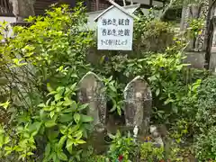 海住山寺(京都府)