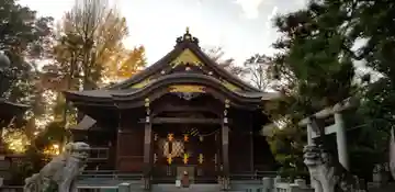 日枝神社の本殿・本堂