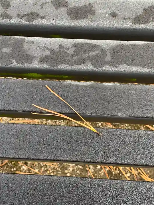 大聖寺(土浦大師不動尊)の自然