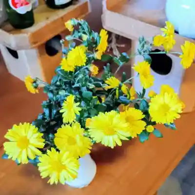 彌彦神社　(伊夜日子神社)の本殿・本堂