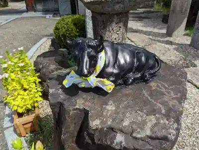 大松禅寺(京都府)