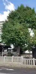 綾瀬神社の建物その他