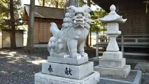 大井神社の狛犬