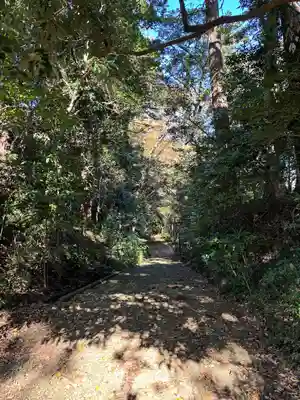 神崎神社(千葉県)
