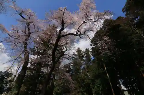 神炊館神社 ⁂奥州須賀川総鎮守⁂の自然