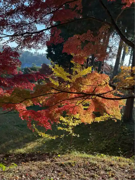 龍泉寺(岡山県)