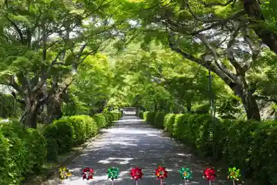 西教寺(滋賀県)