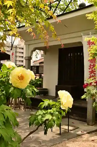 少林寺(埼玉県)