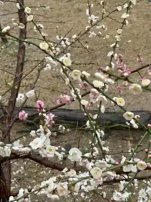 渋川神社(大阪府)