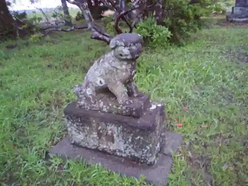 神社(名称不明)の狛犬