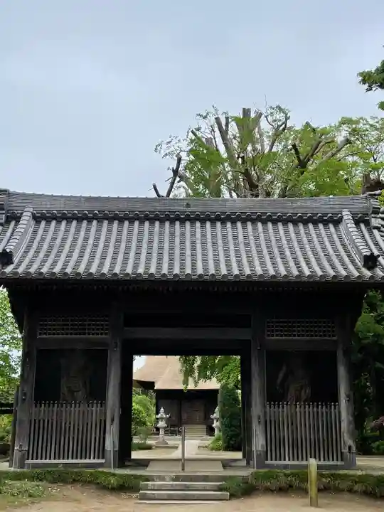 国分寺の山門・神門