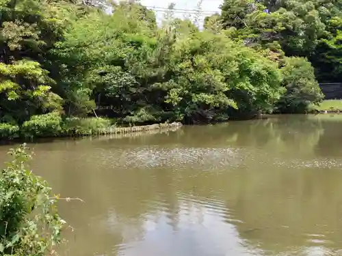 菊田神社の自然
