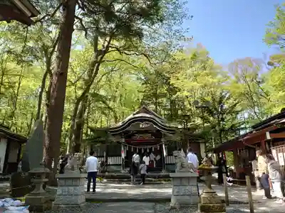 新屋山神社の本殿・本堂