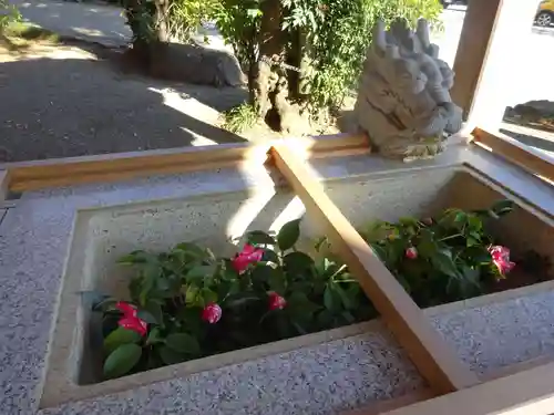 比々多神社の手水舎