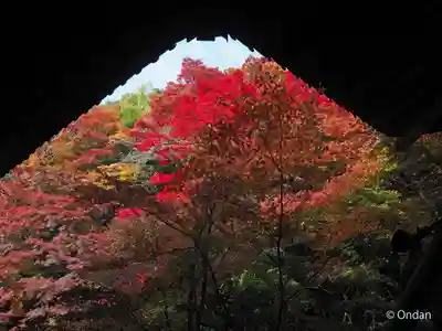 実相院門跡(京都府)