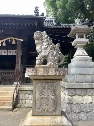 豊川進雄神社の狛犬