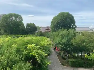亀戸天神社(東京都)