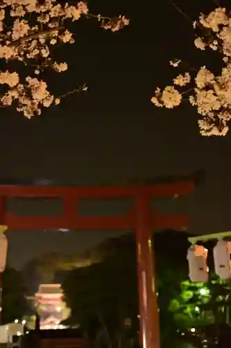 鶴岡八幡宮(神奈川県)