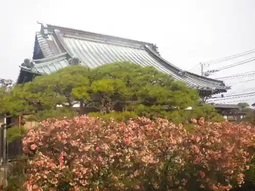 九品寺のその他建物