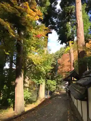 広沢寺の自然
