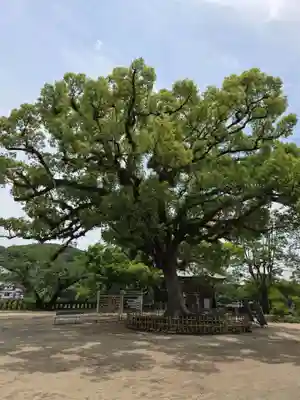 與止日女神社(佐賀県)