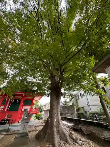 若宮愛宕神社の自然