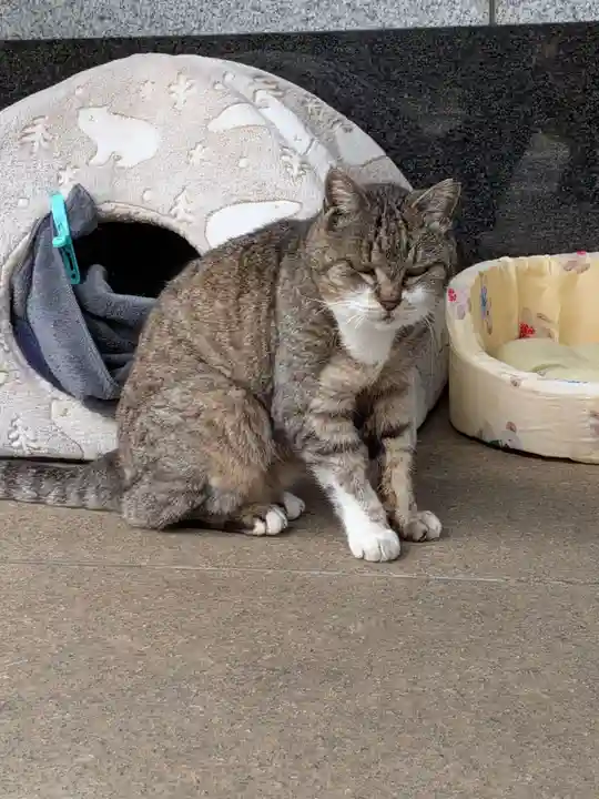 白金氷川神社(東京都)