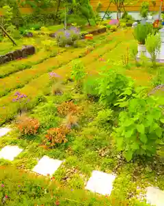 寿量山 速成寺のお墓(2023年05月14日(日) 07時39分57秒投稿)