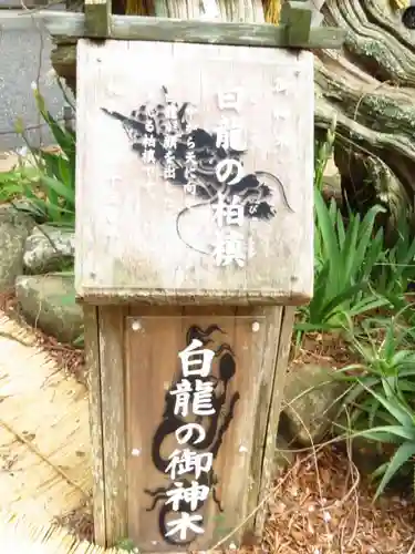 伊古奈比咩命神社の歴史