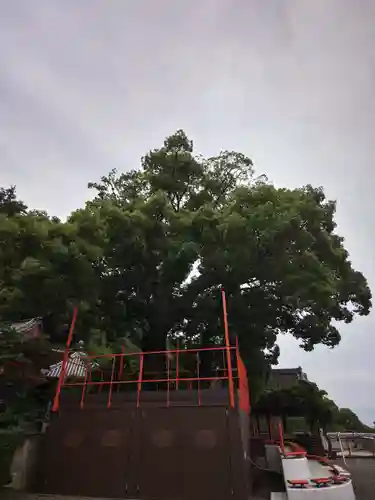 金剛宝寺（紀三井寺）(和歌山県)