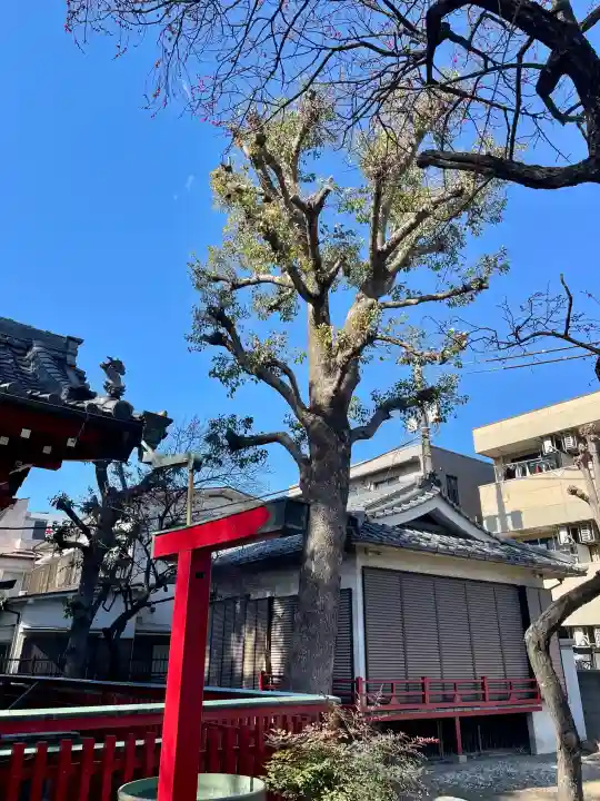 北野天神(仲六郷北野神社)の{uncategorized: "未分類", other: "その他", undefined: "問題あり", building: "その他建物", grave: "お墓", sacred_gate: "鳥居", guardian: "狛犬", statue: "像", buddha: "仏像", history: "歴史", nature: "自然", garden: "庭園", animal: "動物", pagoda: "塔", temizu: "手水舎", mountain_gate: "山門・神門", sanctuary: "本殿・本堂", subordinate: "末社・摂社", art: "芸術", scenery: "景色", jizo: "地蔵", ema: "絵馬", goshuin: "御朱印", omikuji: "おみくじ", items: "授与品その他", amulet: "お守り", goshuincho: "御朱印帳", eats: "食事", festival: "お祭り", votive_dance: "神楽", shichigosan: "七五三参", wedding: "結婚式", experience: "体験その他", initially: "初詣", around: "周辺", anti_infection: "感染症対策"}