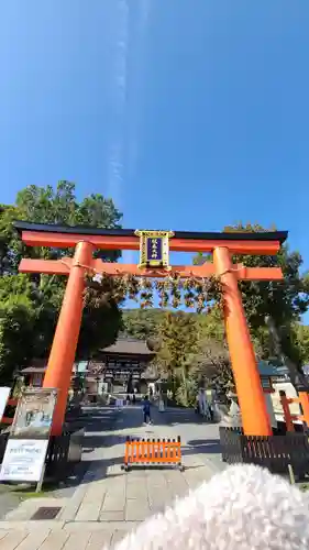 松尾大社の鳥居