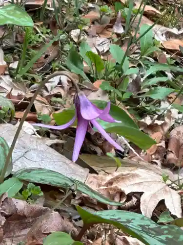 三春大神宮(福島県)