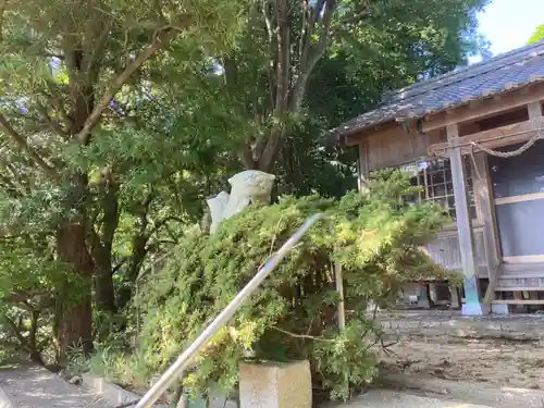 姫坂神社の狛犬