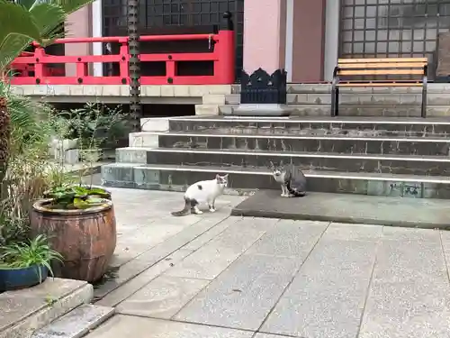顕正寺(神奈川県)