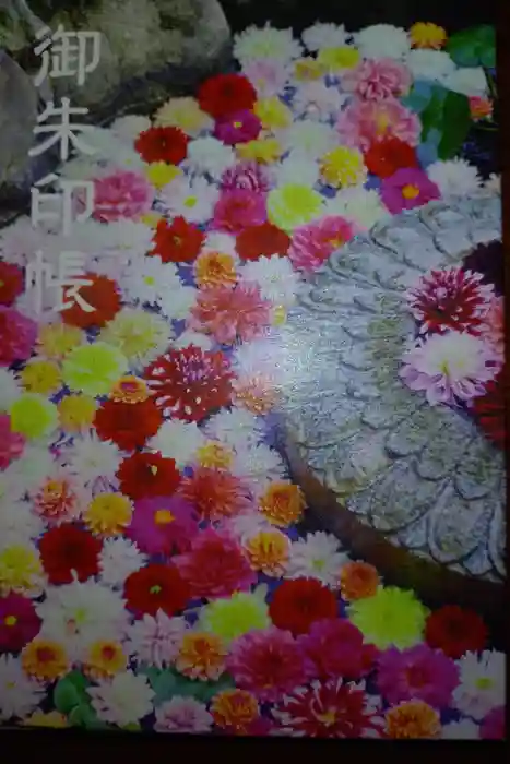 岡寺（龍蓋寺）の御朱印帳