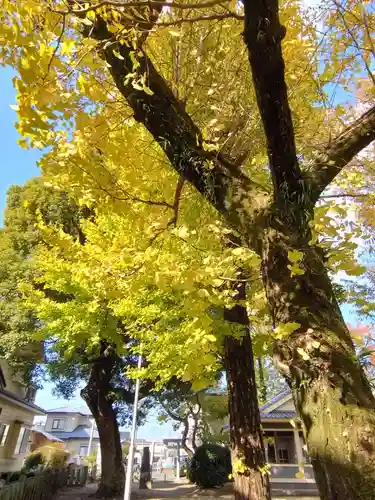 菅原神社(熊本県)