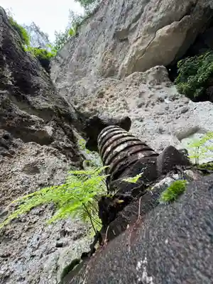 スっと出ている緑🌲