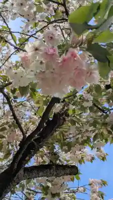 白峯神宮(京都府)
