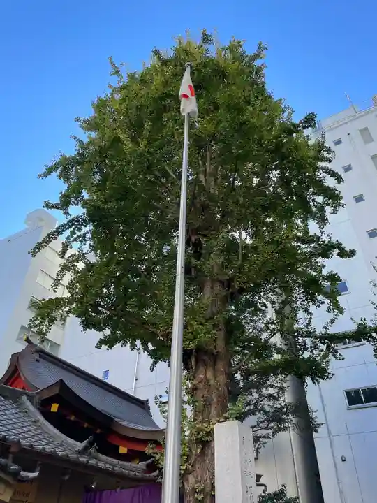 日本橋日枝神社(東京都)